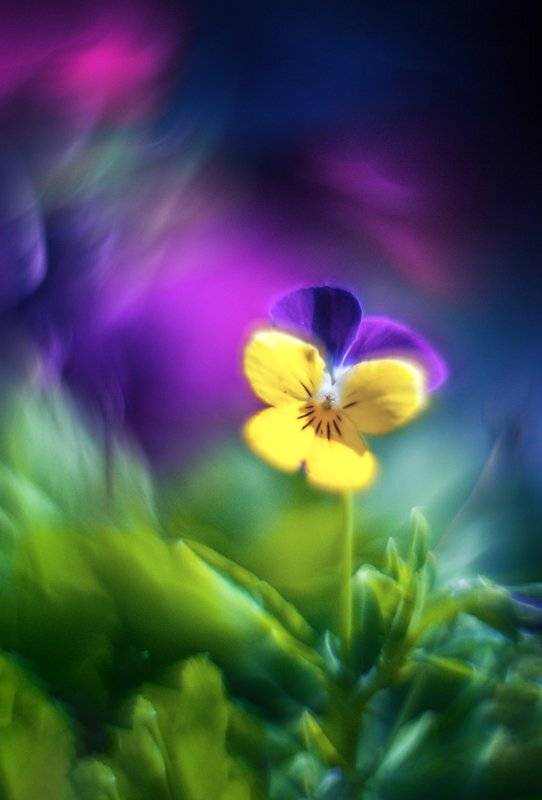 , Татьяна Аверина