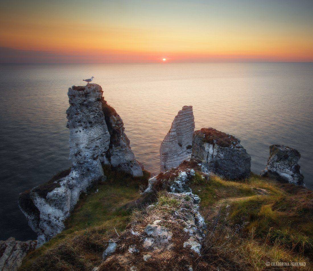 , Екатерина Ионенко