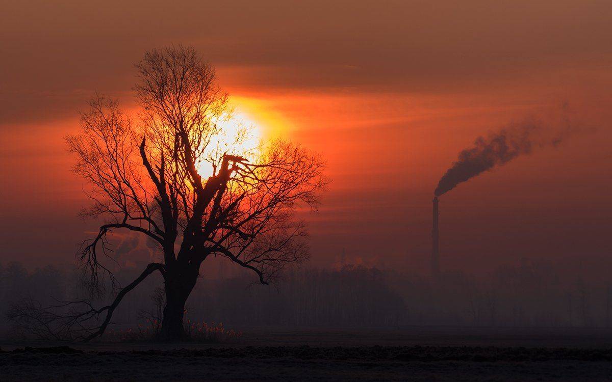 , Pawel Plucinski