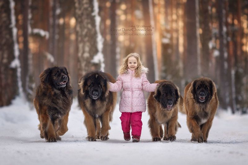 Lisa and her Bodyguards фото превью