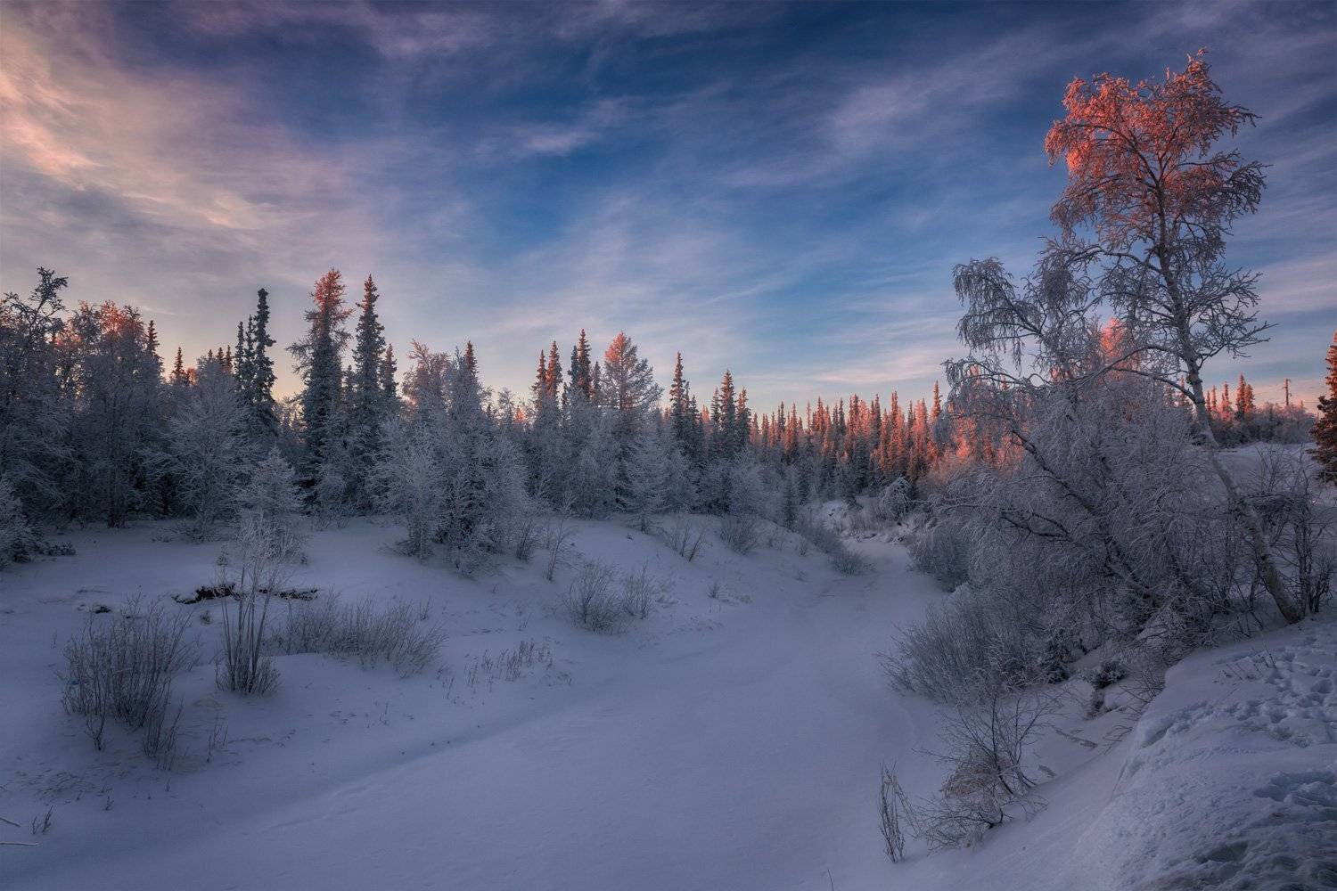 , Евгений Кужилев