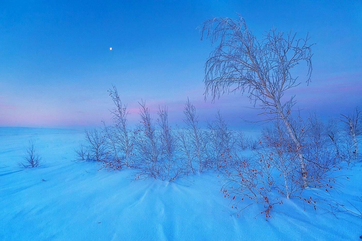 , Павел Сагайдак