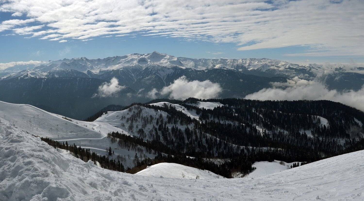 , Сергей Седов