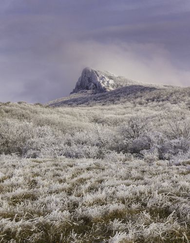 Морозный день