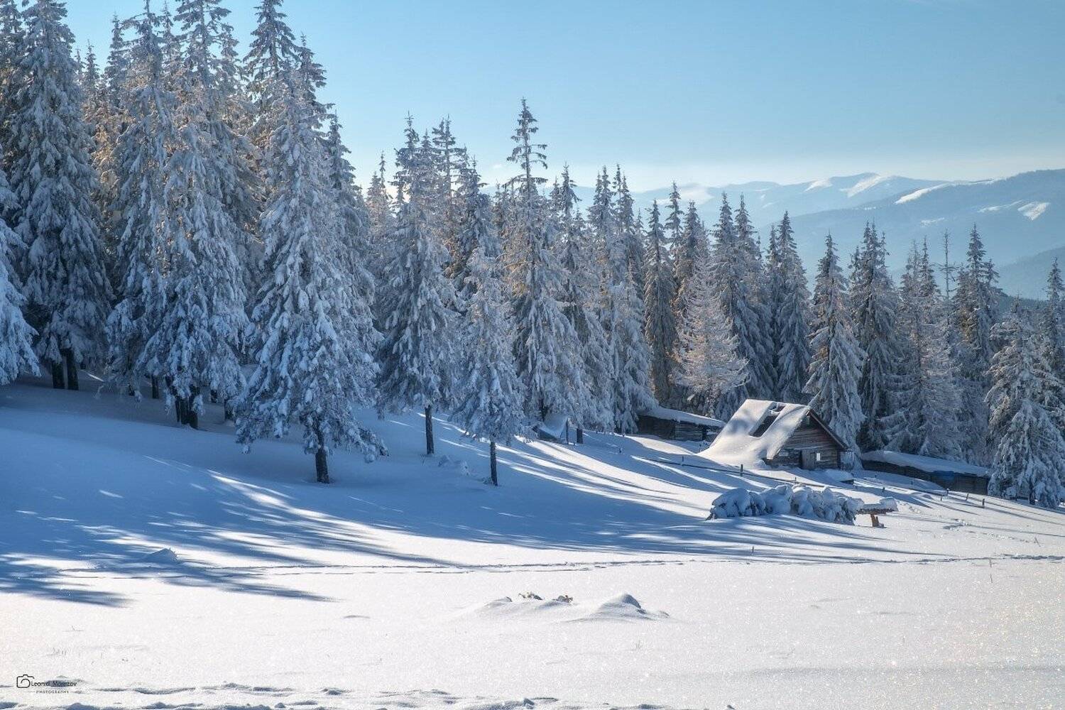 snow., mountain, .glacier.evergreen, .snowfall., ridge, .snowy., slope, .mountain., peak., mountain., range., snowcapped., mt, foraker., Леонид Морозов