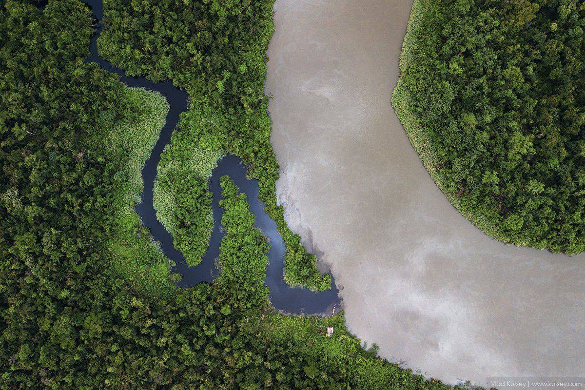 papua, jungle, indonesia, brazza, river, папуа, джунгли, река, индонезия, Владимир Куцый (Vlad Kutsey)