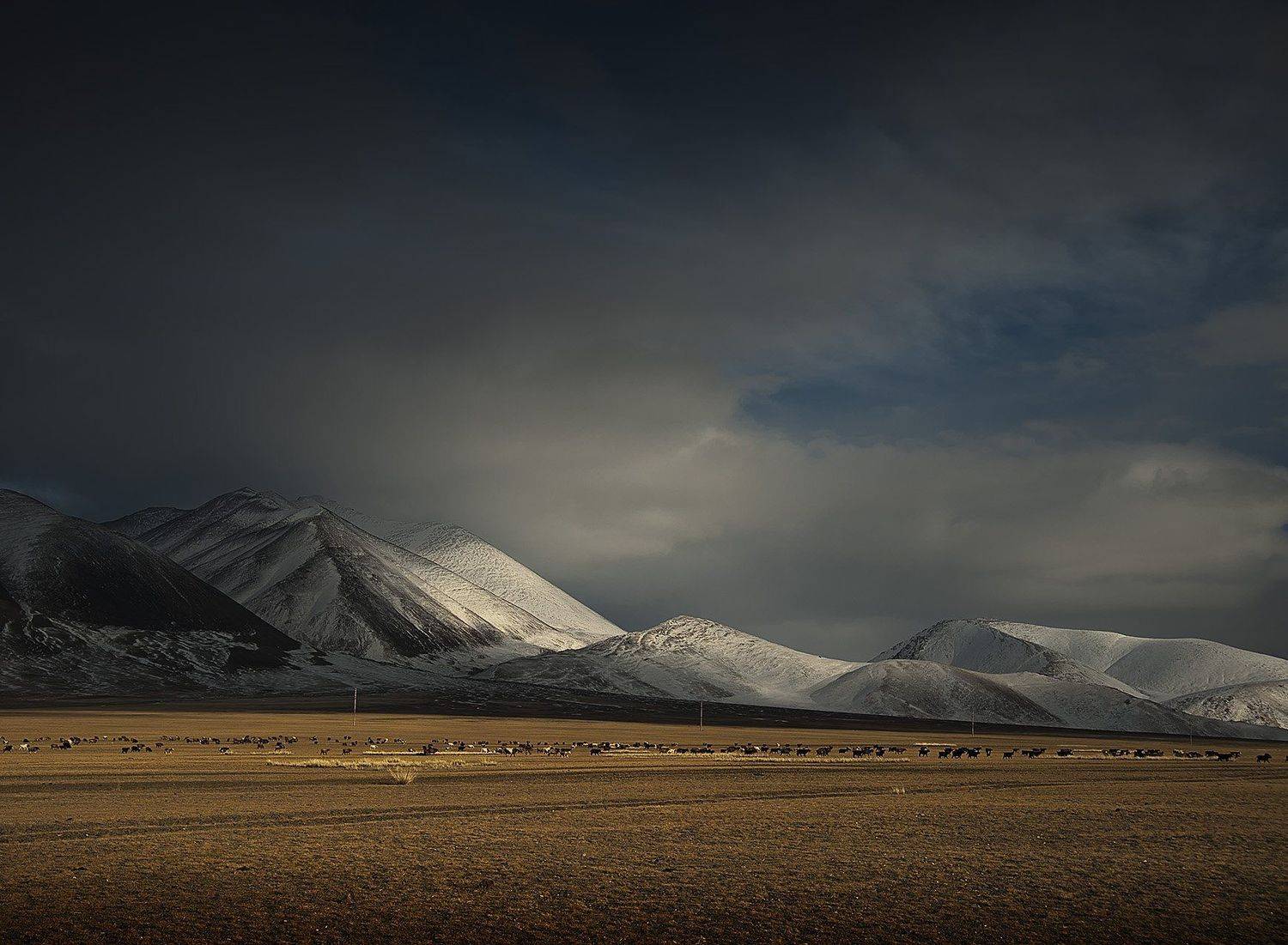 монголия, осень, горы, Olga  Wolkova