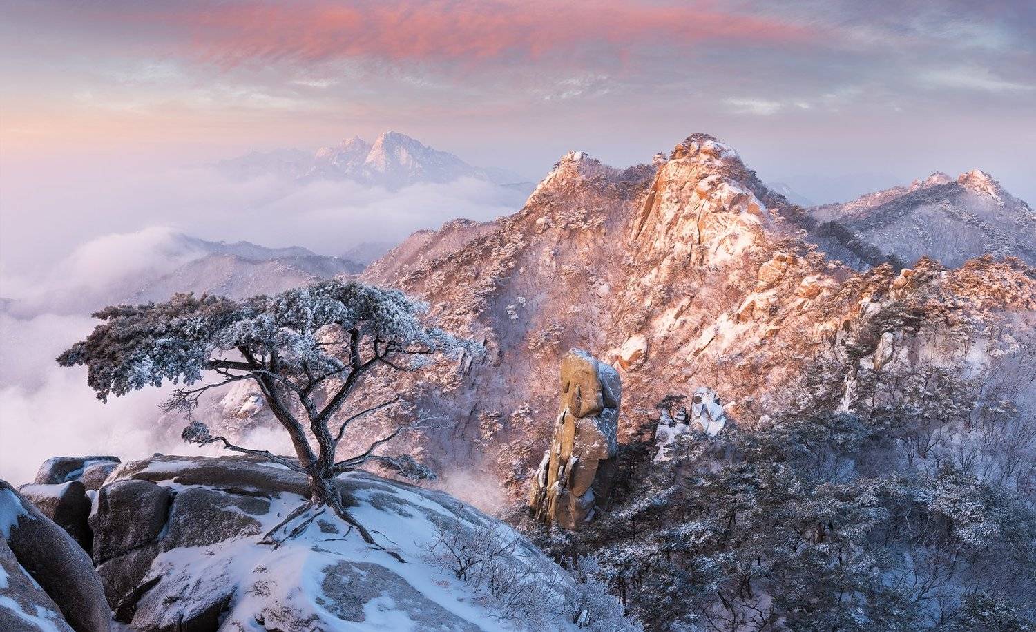 , Jaeyoun Ryu