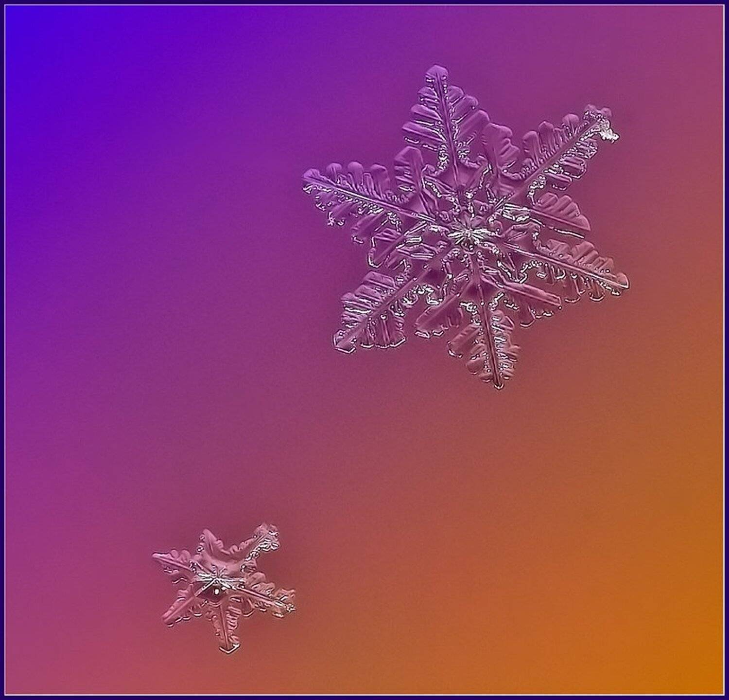 макро,снег,снежинки,, Евгений Кирилкин.