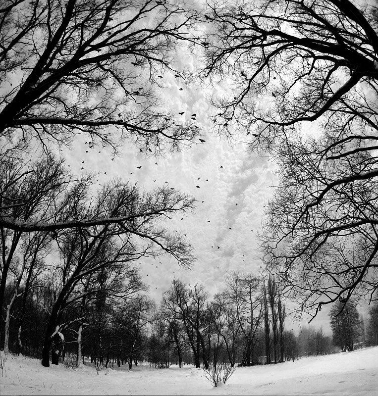 * фото превью