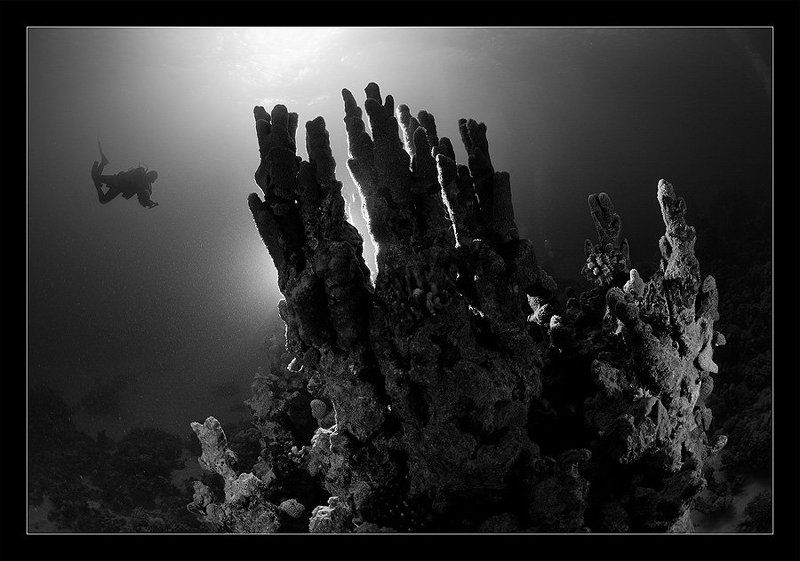 свет, коралл, солнце, вспышка, контровик Башни фото превью