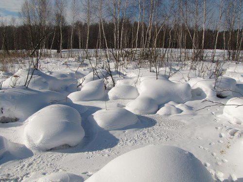 Зима в Лосином острове