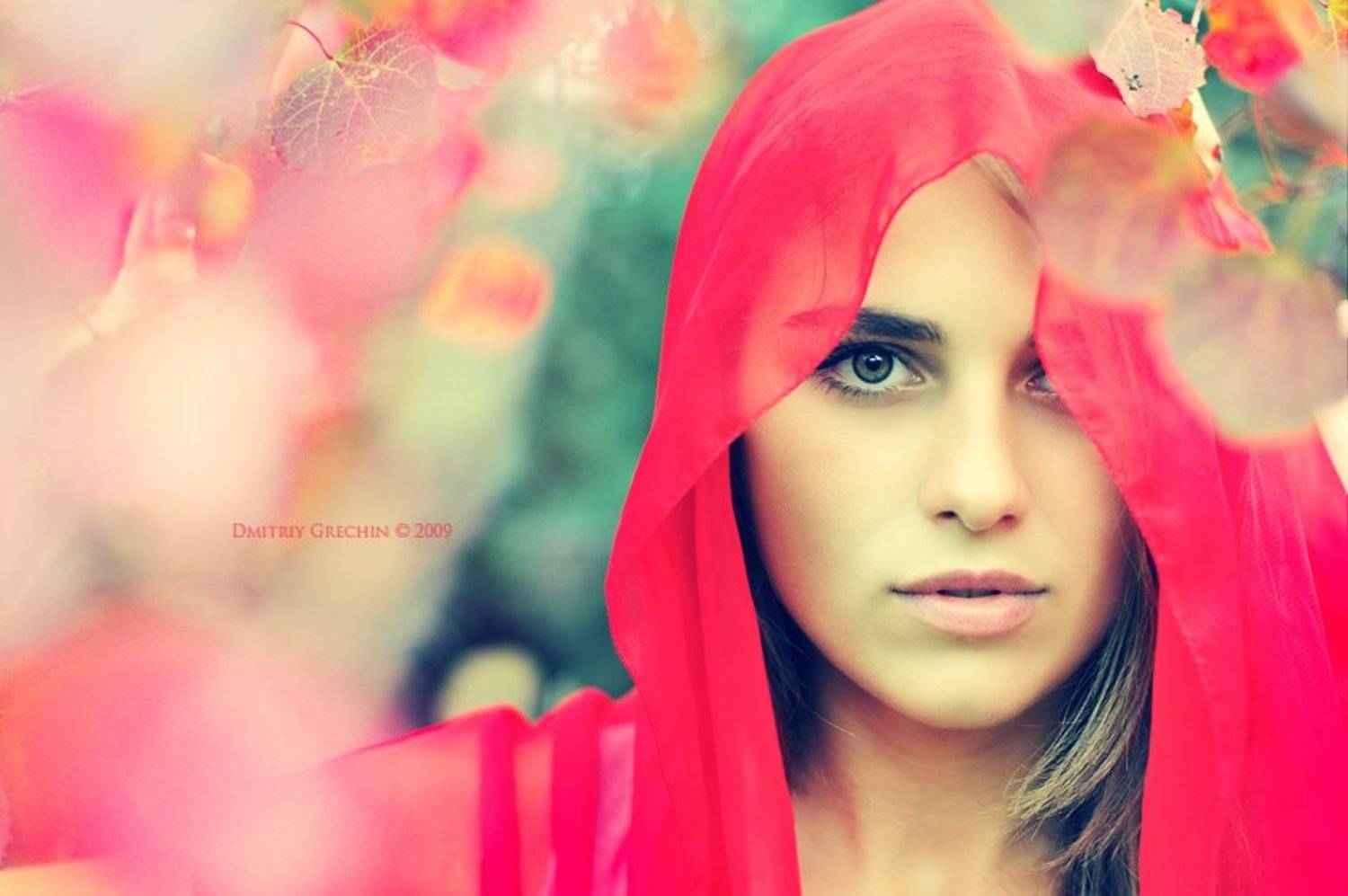 гречин, Дмитрий Гречин