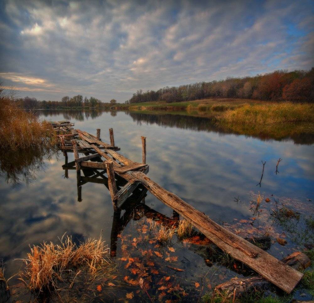 осень,	 утро, Петриченко Валерий