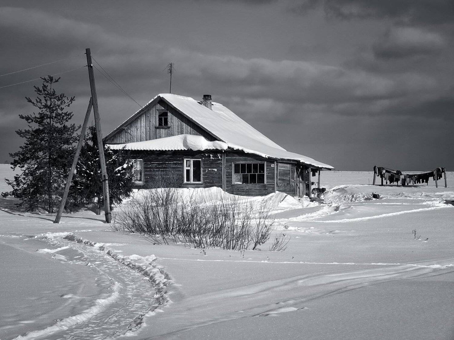 , Максим Евдокимов