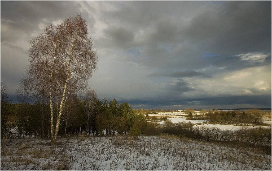 , Николай Шахманцир