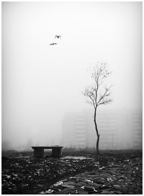 ... фото превью