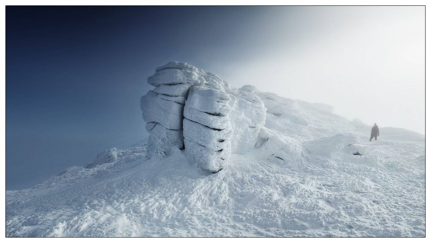 , Денис Кривой