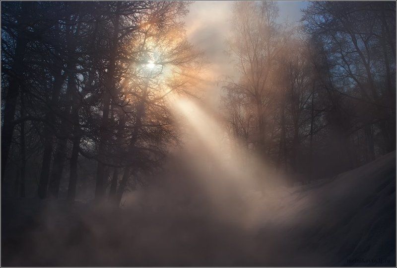 Луч света в царстве тумана фото превью