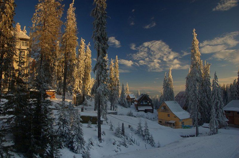 горы, карпаты, зима, утро, снег Драгобрат перед пробуждением фото превью