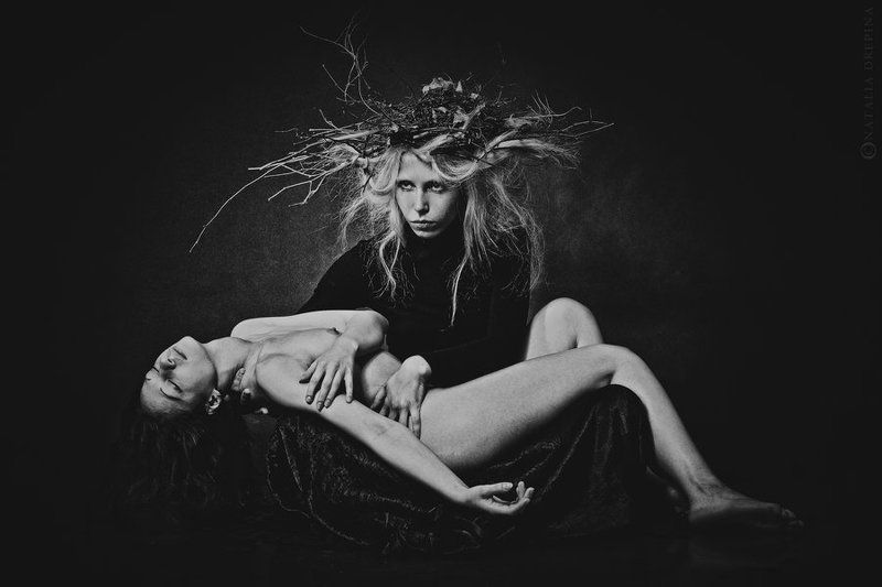 dead bird,nest,tree,dark,depressive,surreal Dead Bird фото превью