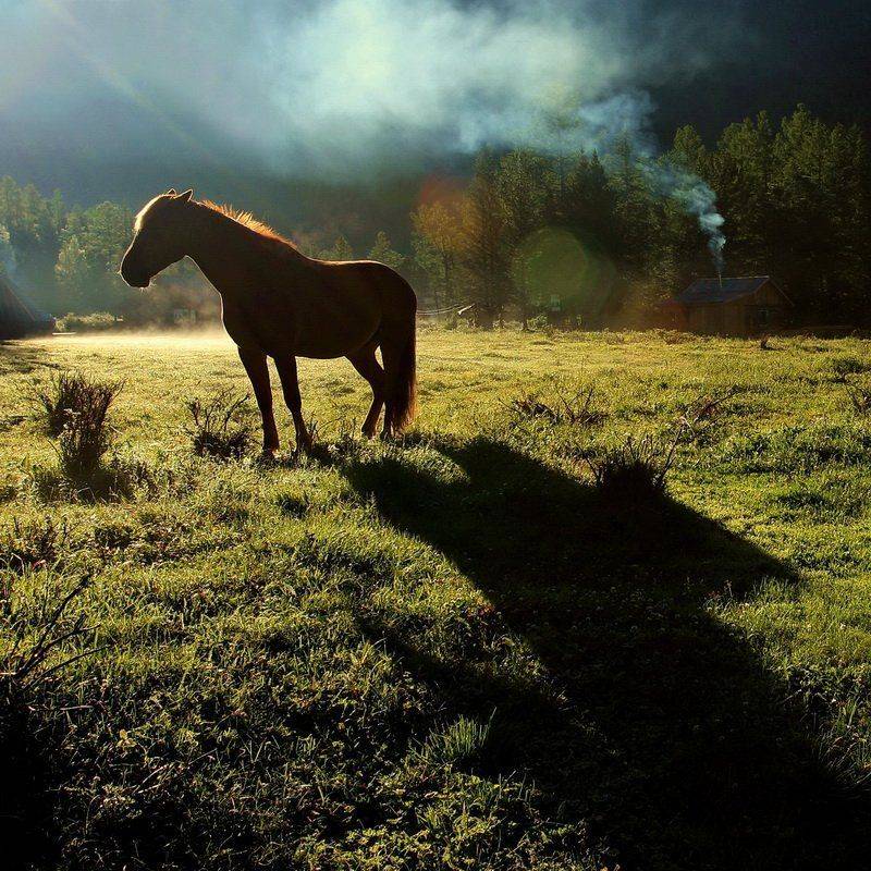 , Васенин Валерий