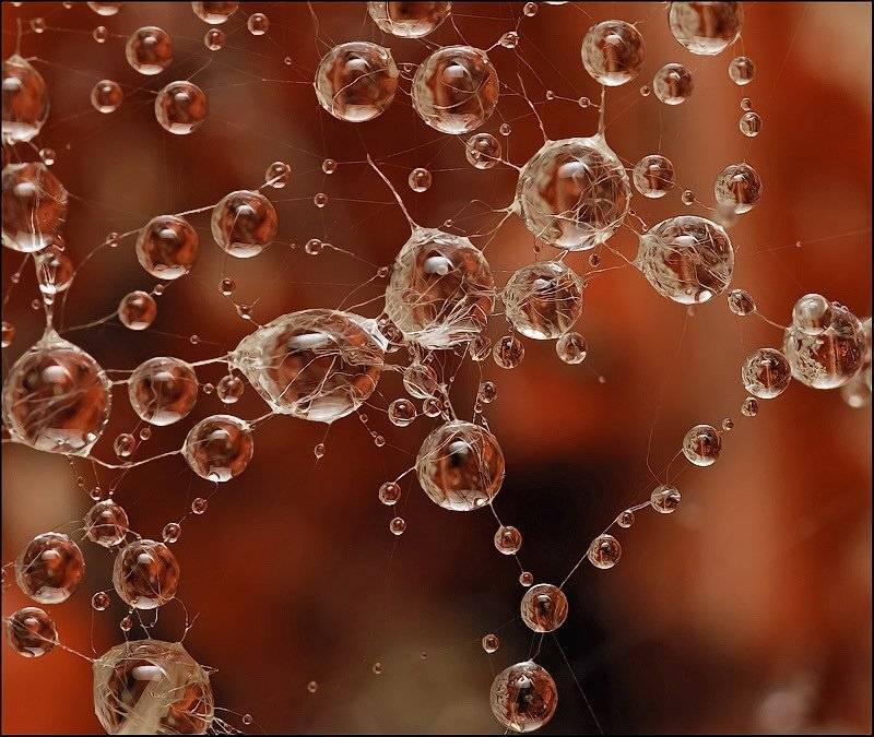 , Андрей Осокин