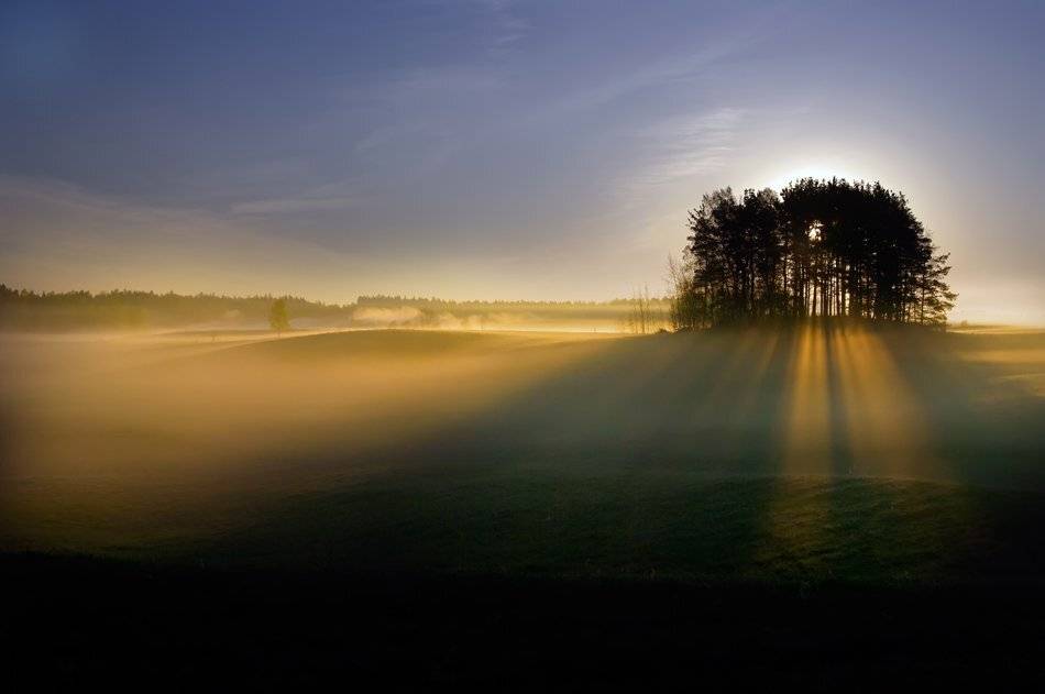 , Rimantas Bikulcius