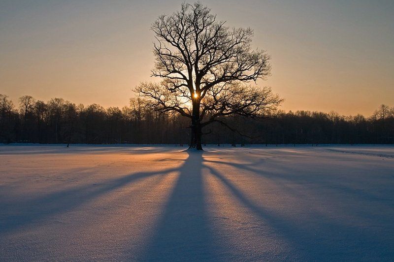 Рассвет в парке Александрия фото превью