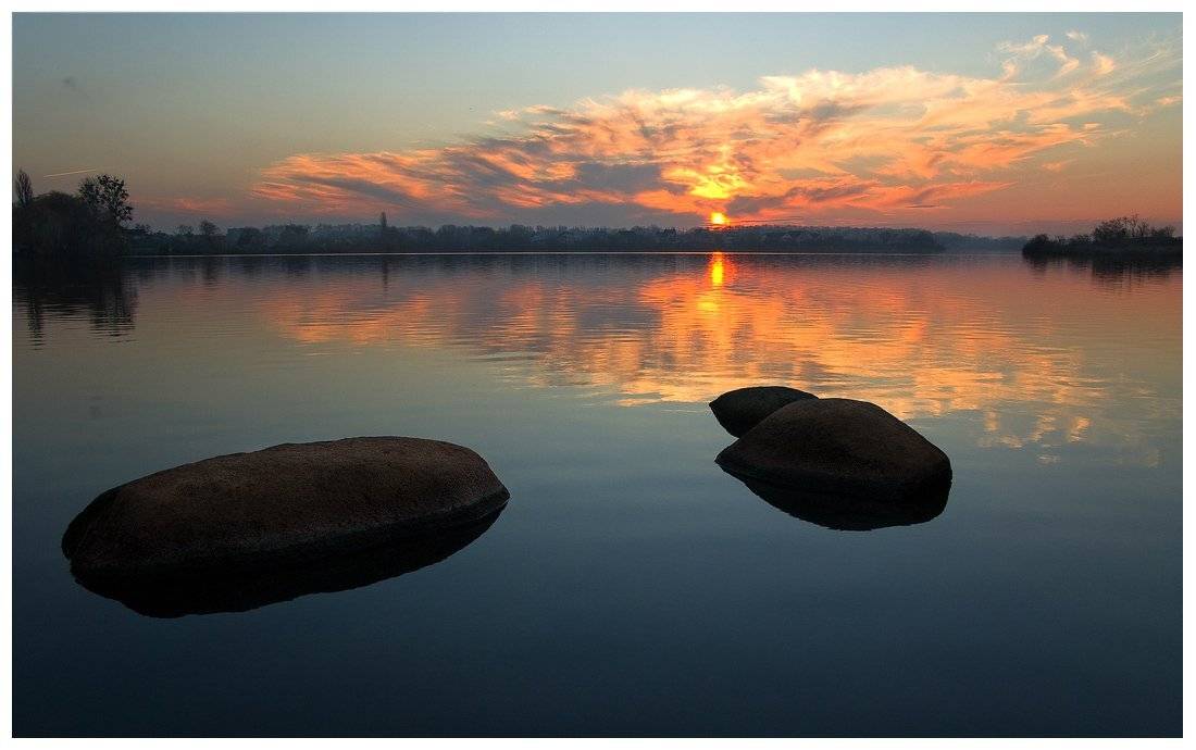 , Николай Шахманцир