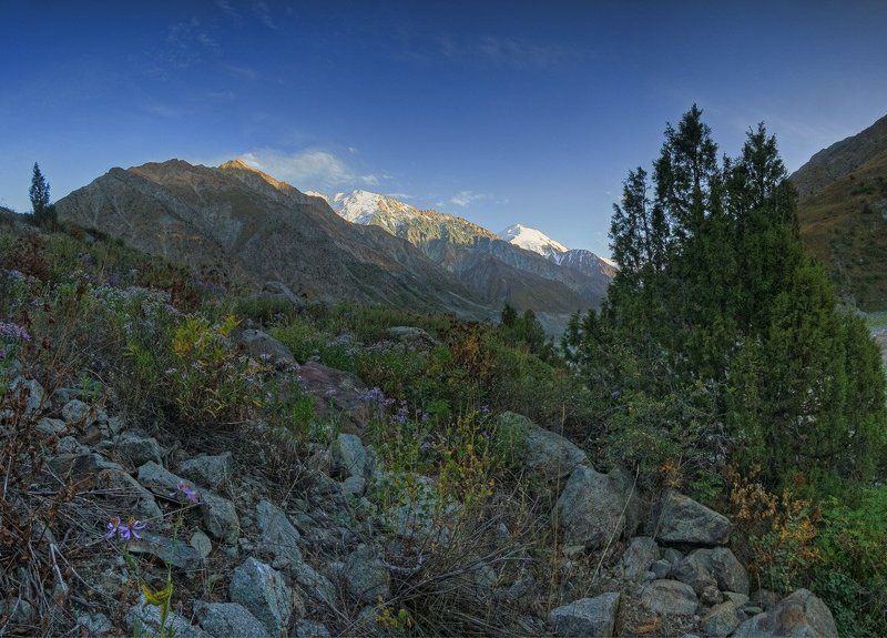 памир 2010, поход Такой разный Памир фото превью