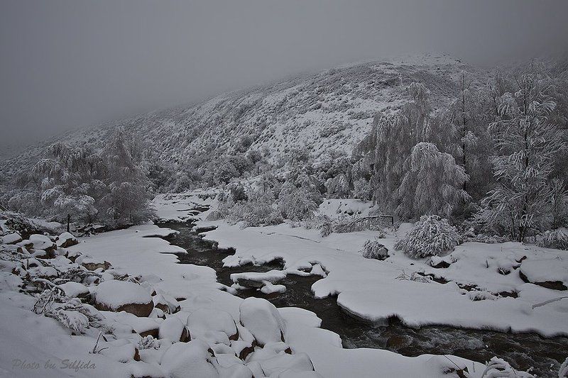 зима, снег, река, горы, лес Зимний сон. фото превью