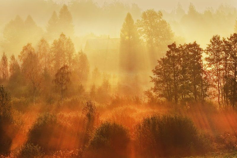 Жизнь в долине туманов фото превью