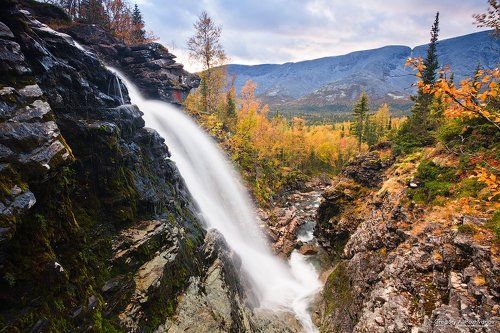 Сентябрьский Рисйок