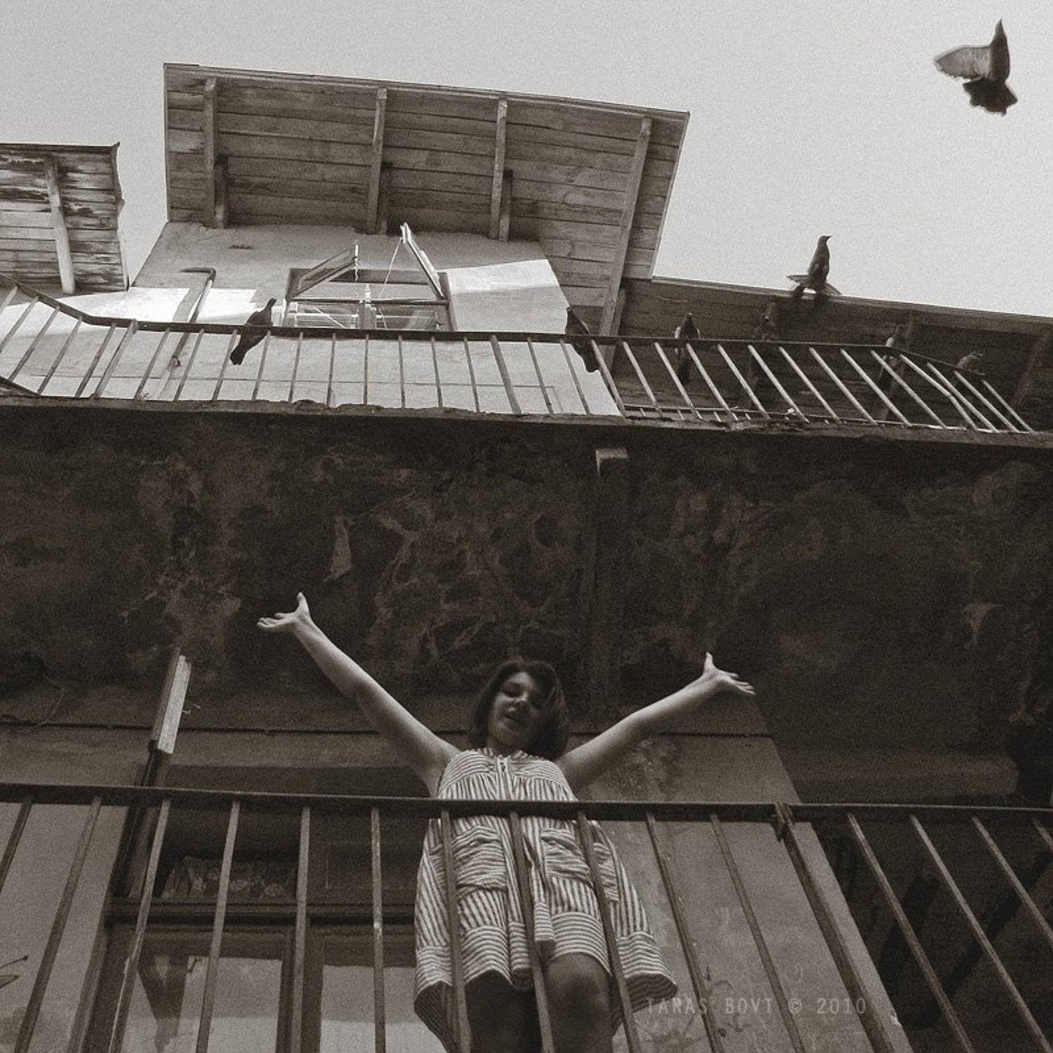 , ТАРАС БОВТ