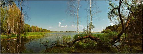 Остров 