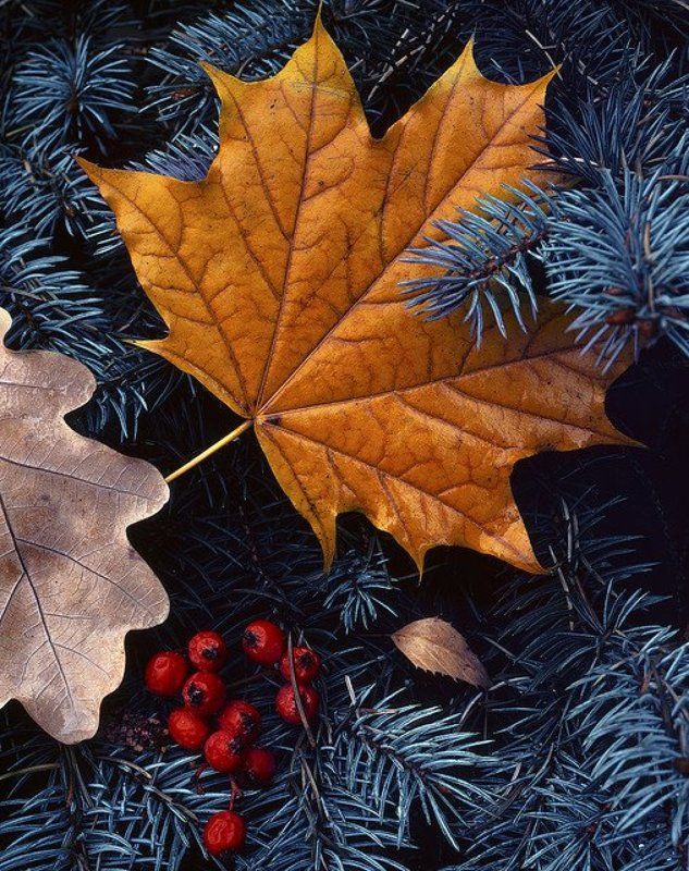 Первая десятка... фото превью