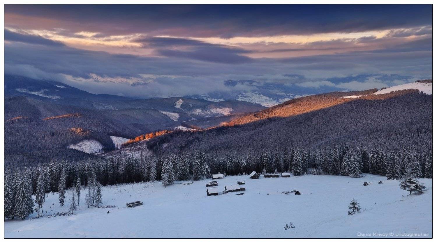 , Денис Кривой