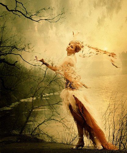 Alise Ketnere(FOX LIMA)