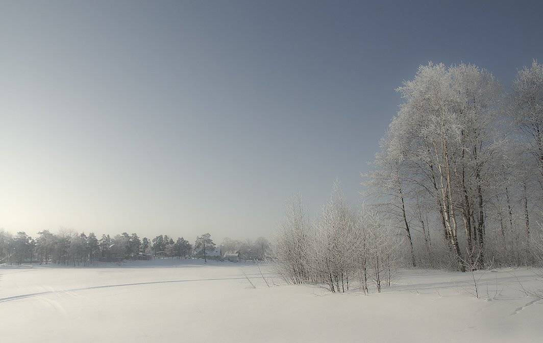 , Владимир Георгиевич
