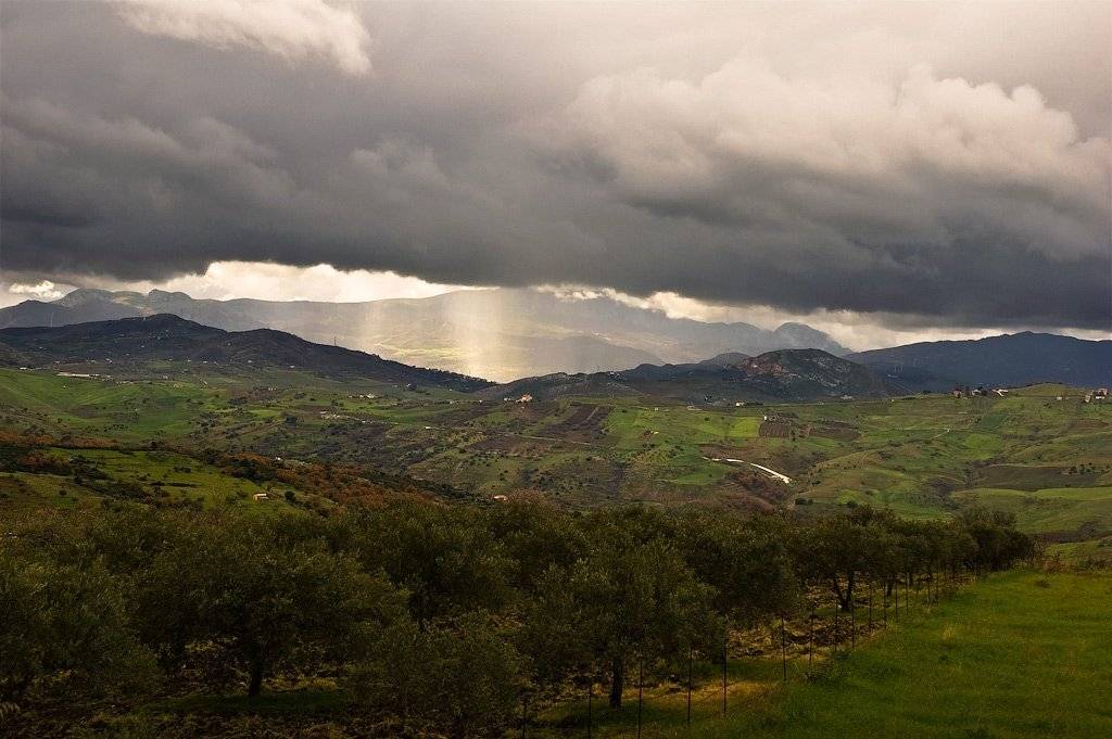 сицилия, маринео, Olga Tkachenko