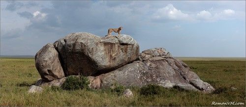 Дневной дозор.