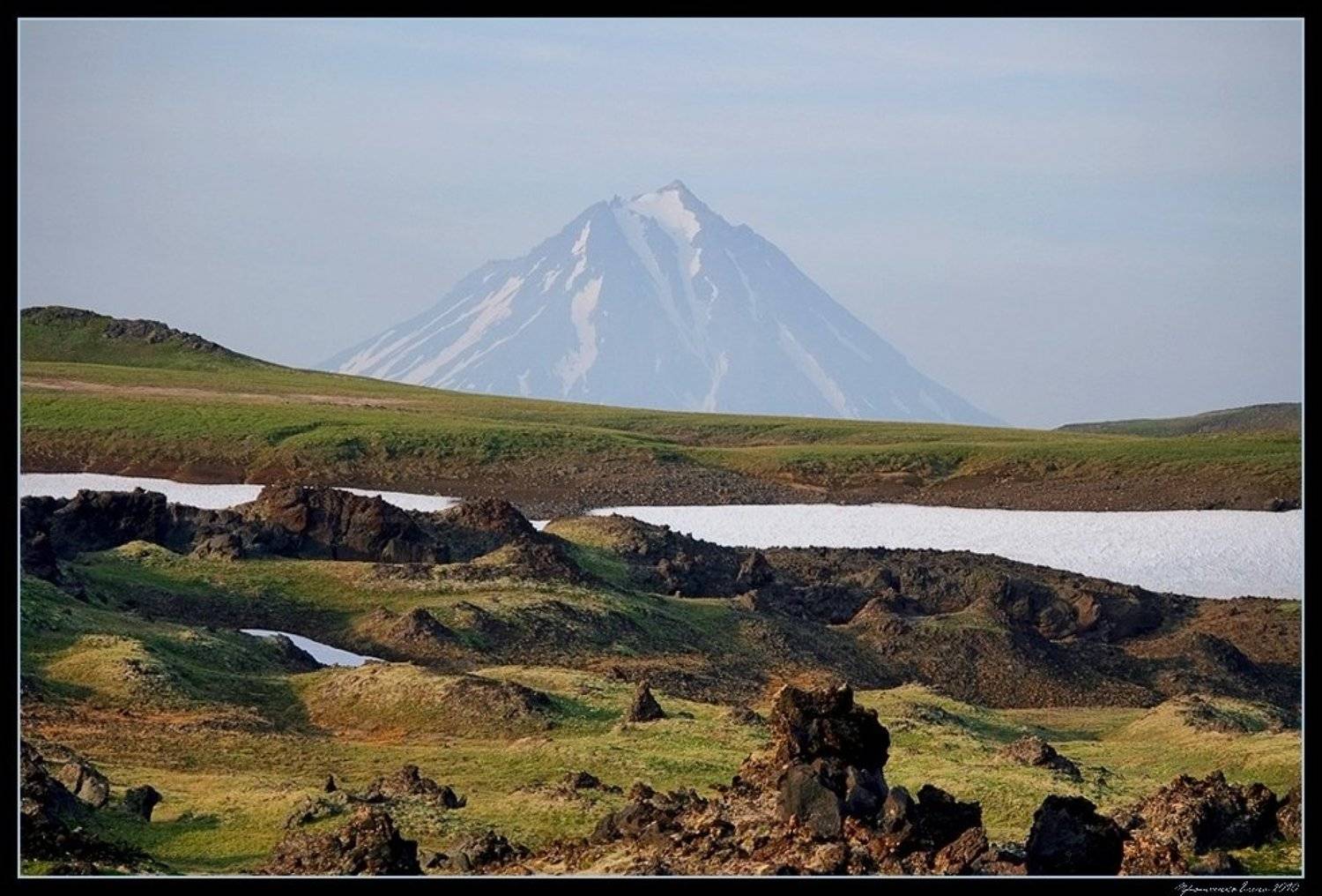 , Лена Протченко