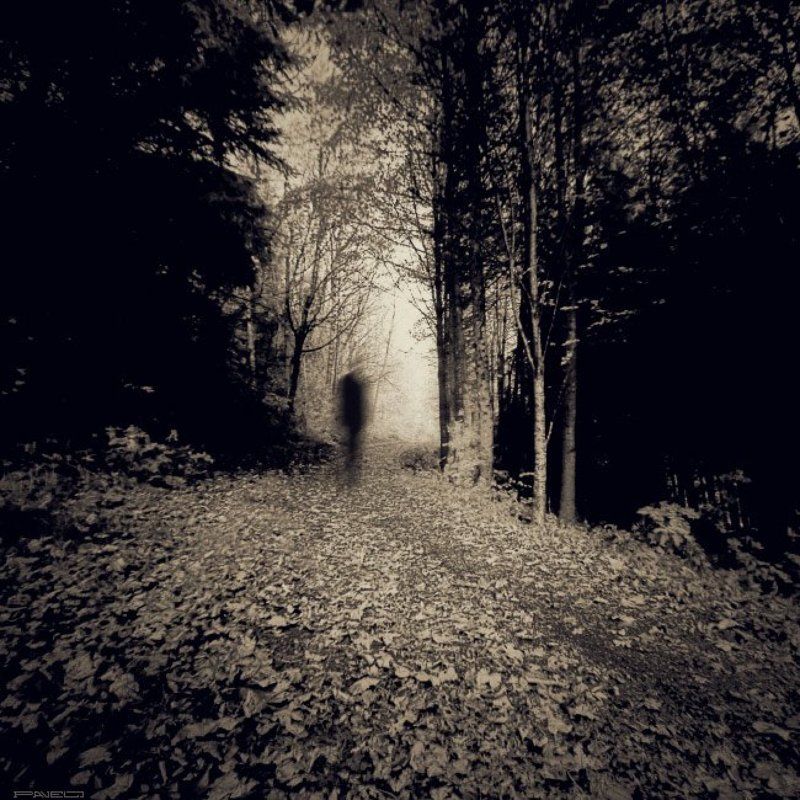 alone . фото превью