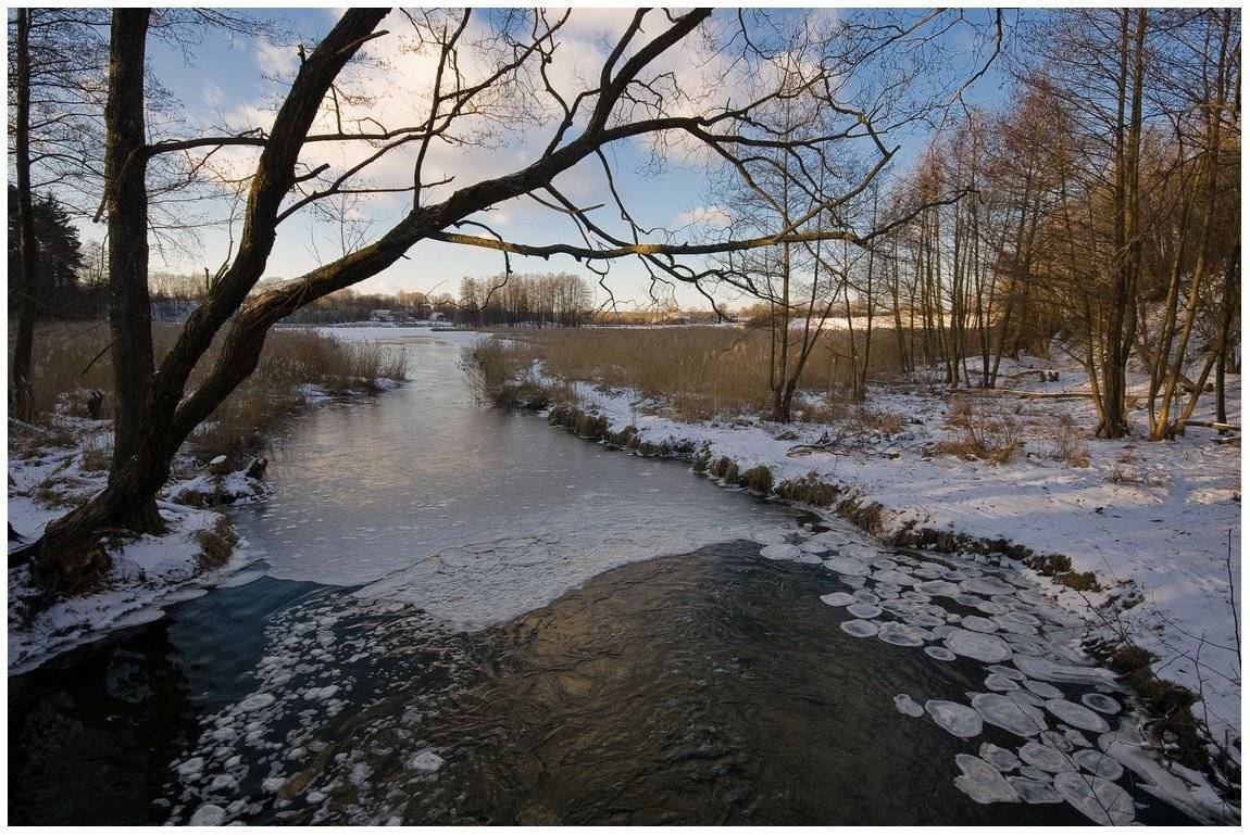 , Николай Шахманцир