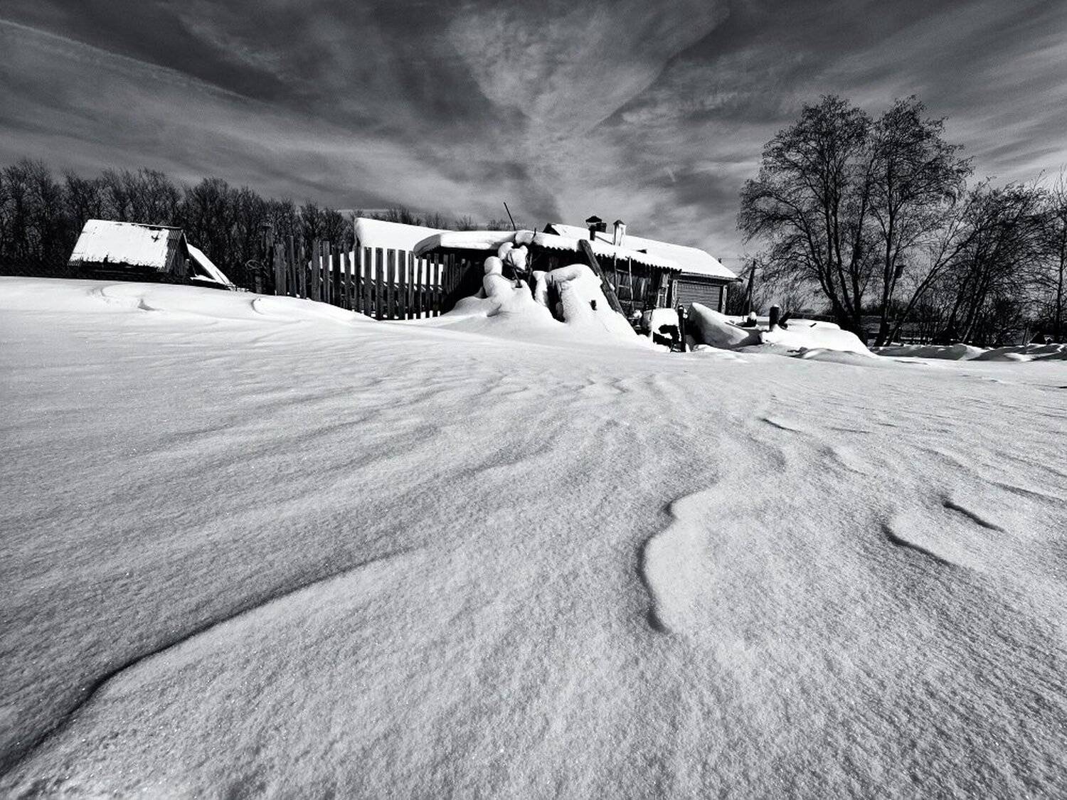 , Максим Евдокимов