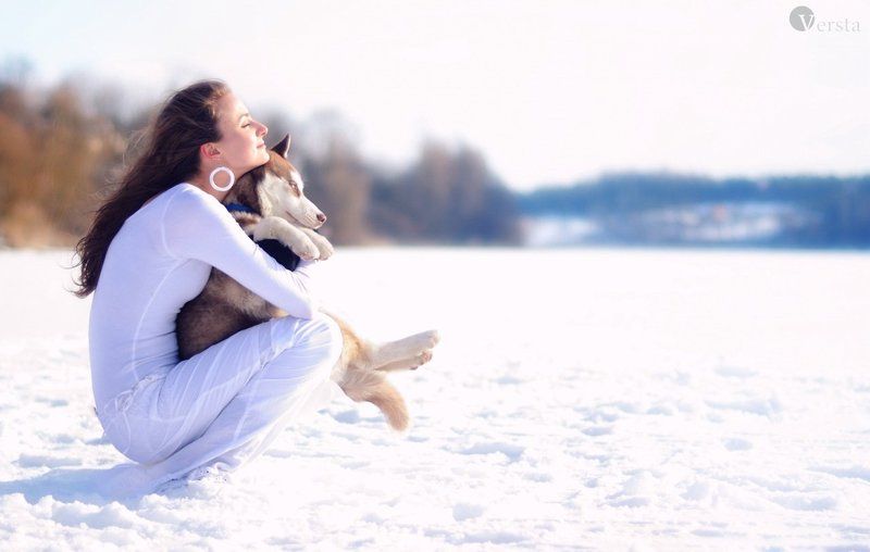 зима, холод, сніг, собака, вовк Зі мною вірний друг.... фото превью