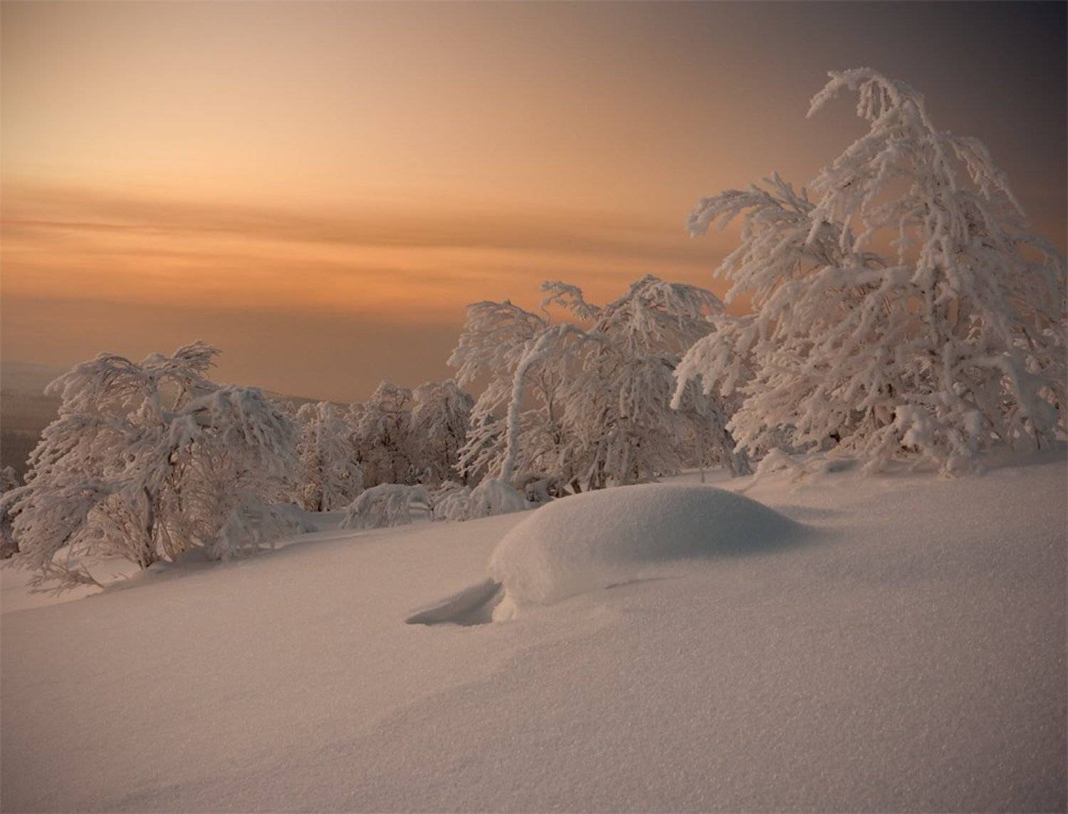 кольский, полуостров, зима, Nikolai (locus)