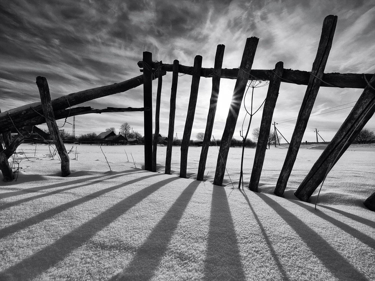 , Максим Евдокимов