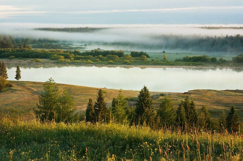 Утреннее пробуждение... фото превью